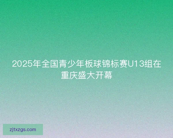 2025年全国青少年板球锦标赛U13组在重庆盛大开幕