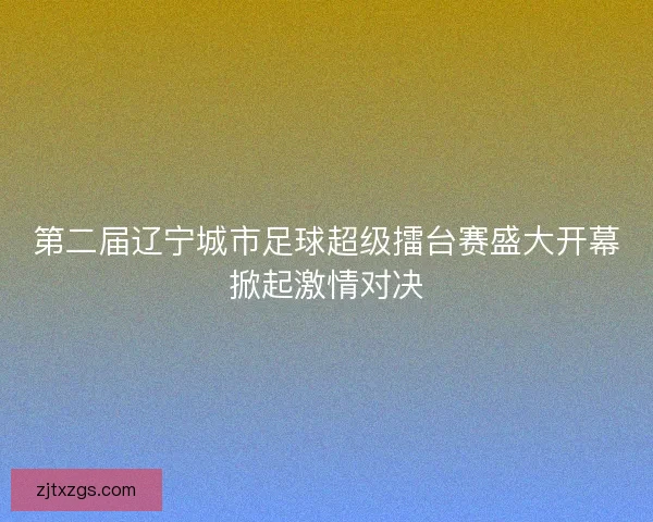 第二届辽宁城市足球超级擂台赛盛大开幕掀起激情对决